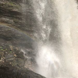 Meet your Posher, Reagan